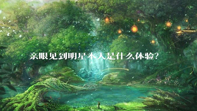 亲眼见到明星本人是什么体验？
