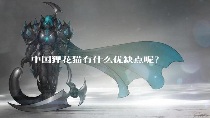 中国狸花猫有什么优缺点呢？