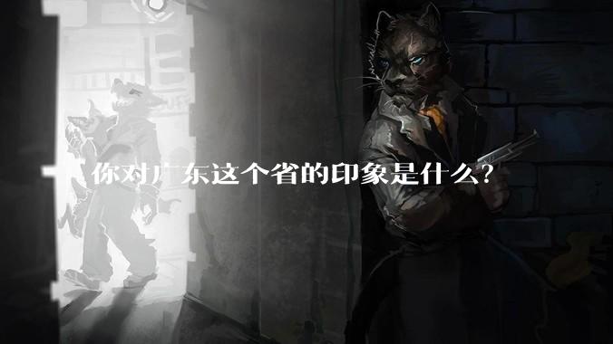 你对广东这个省的印象是什么？