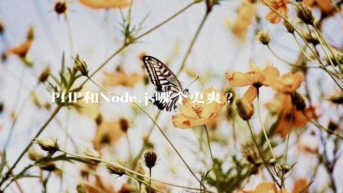 PHP和Node.js哪个更爽?