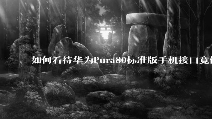 如何看待华为Pura80标准版手机接口竟倒退成USB 2.0？要是也烧了WIFI是不是不好备份数据？