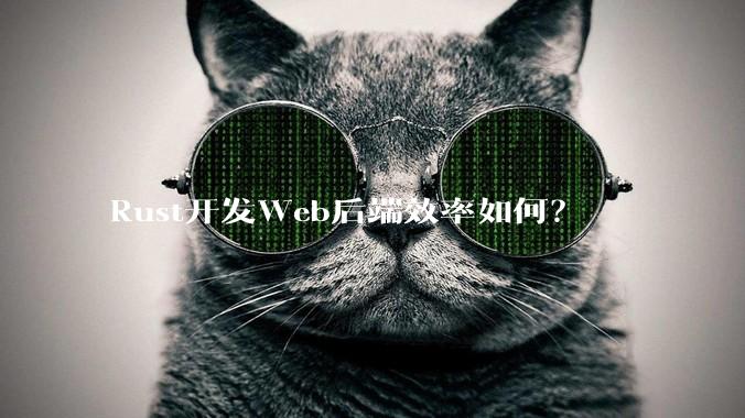 Rust开发Web后端效率如何？