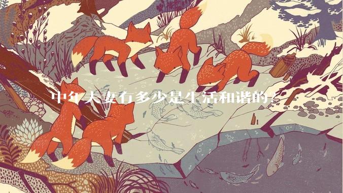中年夫妻有多少是生活和谐的？