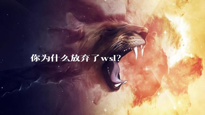 你为什么放弃了wsl？