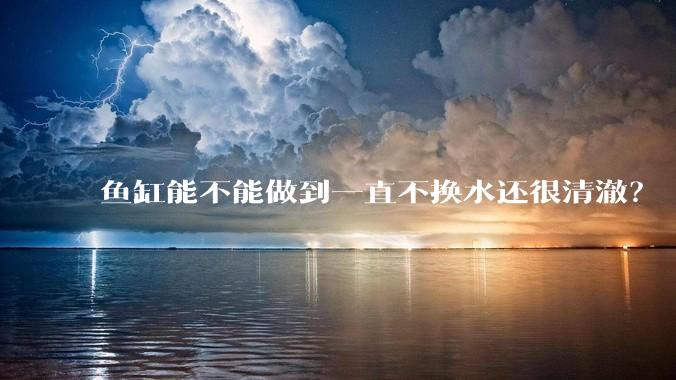 鱼缸能不能做到一直不换水还很清澈？