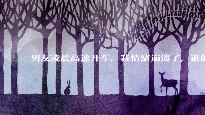 男友凌晨高速开车，我情绪崩溃了，谁的错?