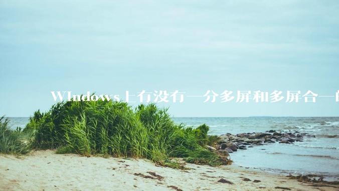 Windows上有没有一分多屏和多屏合一的软件？